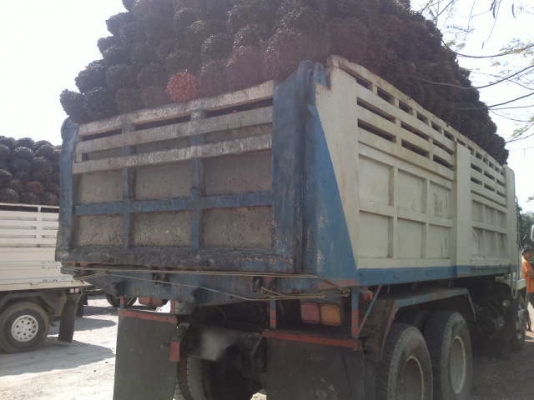 รถมิตซู 10 ล้อดั๊ม FN527 210 แรงม้า สนใจติดต่อ 081 - 6079515 รถมิตซู 10 ล้อดั๊ม FN527 210 แรงม้า สนใจติดต่อ 081 - 6079515