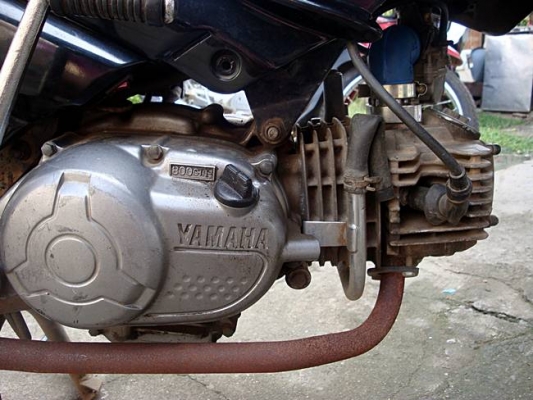 x-1 แต่ง ขอลงขาย ครับ ถูก ๆ 15000