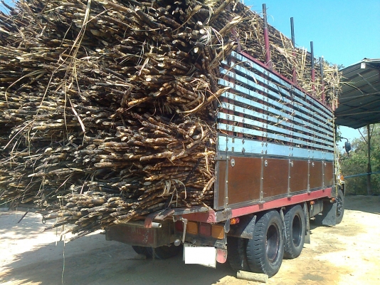 ISUZU Rocky (FVM12MY) 175 HP ปี 36 10 ล้อ 2 เพลา ไม่ดัมพ์