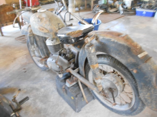 ขาย MZ ปลาวาฬ ขาย MZ ปลาวาฬ