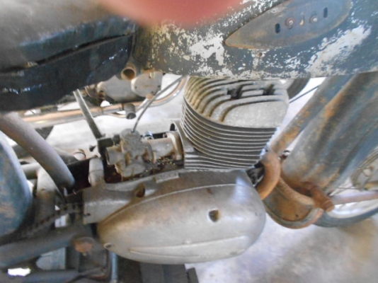 ขาย MZ ปลาวาฬ ขาย MZ ปลาวาฬ