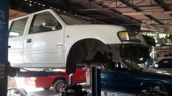 ขายกระดอง และ หัวเก๋ง เท่านั้น