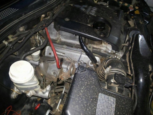 ขายเครื่อง ไททัล คอมมอนเรล