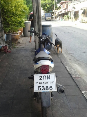 ขาย Honda Sonnic 125 ปี 48 สตาร์ทมือ สภาพเดิมๆ,เปลี่ยนชุดสีใหม่ทั้งคัน ภาษีเต็มเล่มพร้อมโอน