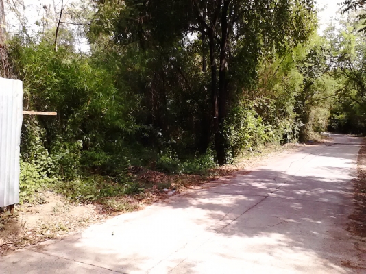 ขายที่ดิน โฉนด 3 งาน 3 ตารางวา หน้าติด และ ข้างติดถนนครับ