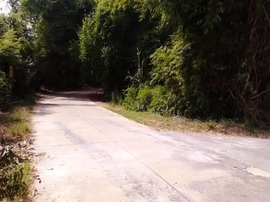 ขายที่ดิน โฉนด 3 งาน 3 ตารางวา หน้าติด และ ข้างติดถนนครับ