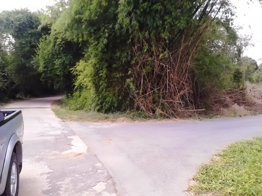 ขายที่ดิน โฉนด 3 งาน 3 ตารางวา หน้าติด และ ข้างติดถนนครับ