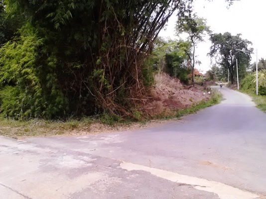 ขายที่ดิน โฉนด 3 งาน 3 ตารางวา หน้าติด และ ข้างติดถนนครับ