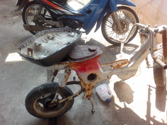 ขายโครงชาลี ยืนคัน