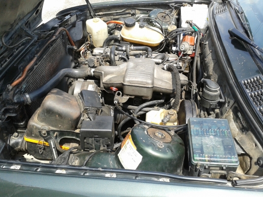 ขาย BMW 318i e30 ขาย BMW 318i e30