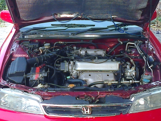 Honda accord สภาพสวยๆ ราคาถูกๆ Honda accord สภาพสวยๆ ราคาถูกๆ