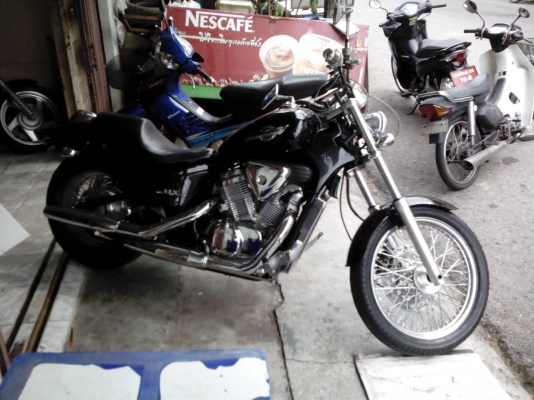 สตีดสวยๆ สภาพดี เจ้าของไม่มีเวลาขี่ หาคนดูแลต่อ