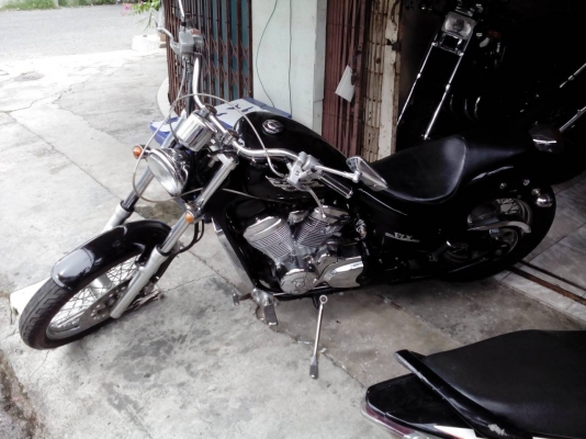 สตีดสวยๆ สภาพดี เจ้าของไม่มีเวลาขี่ หาคนดูแลต่อ