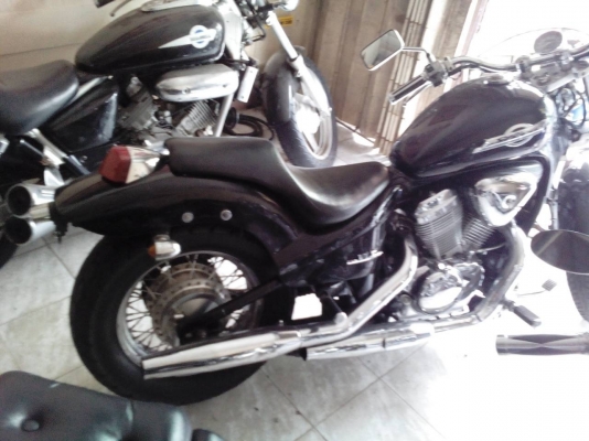 สตีดสวยๆ สภาพดี เจ้าของไม่มีเวลาขี่ หาคนดูแลต่อ