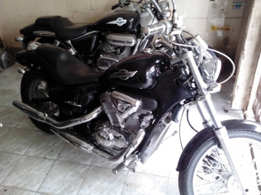 สตีดสวยๆ สภาพดี เจ้าของไม่มีเวลาขี่ หาคนดูแลต่อ