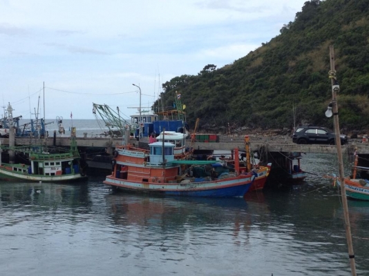 ขายเรือ ขายเรือ