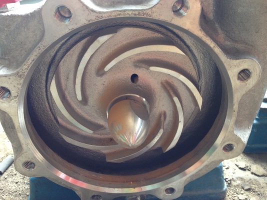 ขายหัวปั้มน้ำสแตนเลส ขนาดเข้า 2.5 นิ้ว ออก 2.5 นิ้ว พร้อมขาตั้ง Made in Japan สภาพสวยมาก พร้อมใช้งาน มี 2 ตัวครับ ขายหัวปั้มน้ำสแตนเลส ขนาดเข้า 2.5 นิ้ว ออก 2.5 นิ้ว พร้อมขาตั้ง Made in Japan สภาพสวยมาก พร้อมใช้งาน มี 2 ตัวครับ