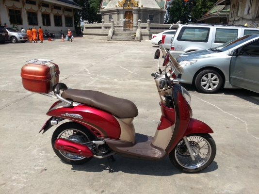 ต้องการขายสกูปปี้ สนใจติดต่อ 0870304205