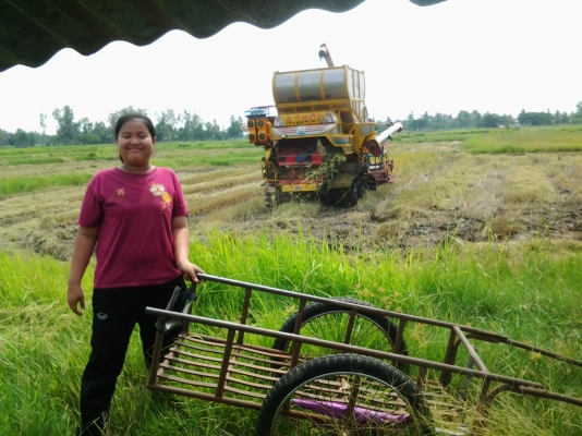 รถเกี่ยวข้าวมือสอง