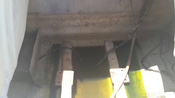 ขายด่วน เรือเร็ว