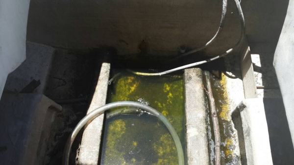 ขายด่วน เรือเร็ว