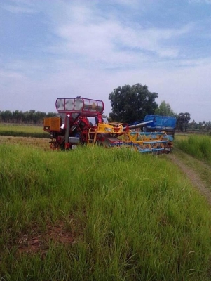 ขายไอ้หนุ่มไวไฟสภาพดีพร้อมลุย 950000 ต่อรองได้ครับ