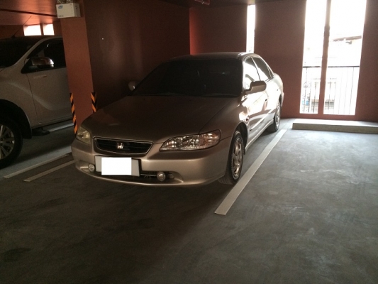 ขาย Honda Accord งูเห่า NB ขาย Honda Accord งูเห่า NB