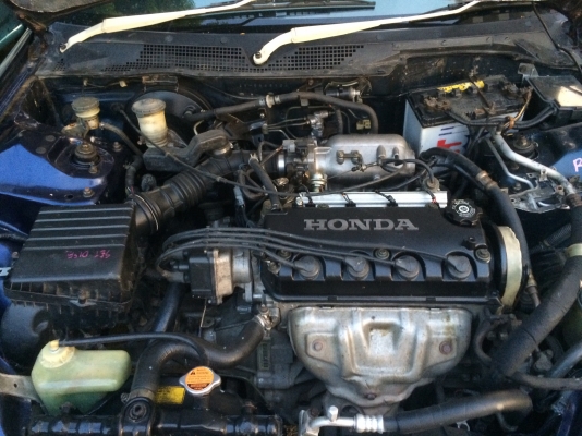 Honda Civic EG4D Honda Civic EG4D