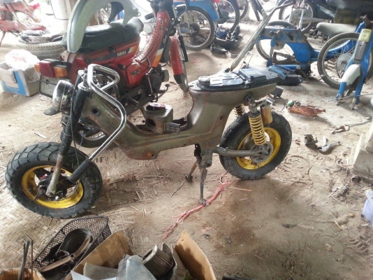 โครงชาลี