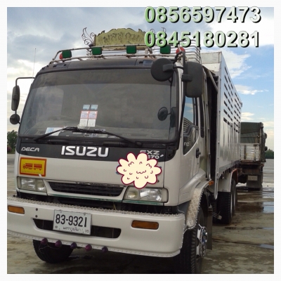ขายด่วน รถสิบล้อพ่วงดั้มแม่ลูก  ติดแก๊ส ขายพร้อมกัน มี 4รายการ   ISUZU  DEGA 270 2พ่วง  HINO  1พ่วง  ROCK240 1พ่วง