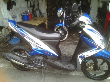 มีโอปี2554