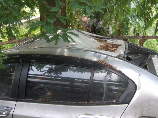 ขายรถ อุบัติเหต ขายรถ อุบัติเหต