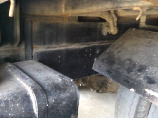 **660,000 บ.ต่อรอง**ขาย10ล้อเพลาเดียวดั้มเกษตร HINO ZM-500 วางเครื่องHO6C Bointer 195แรง (ลงเล่ม) เครื่องแน่น แรง ไม่เยิ้ม เกียร์ดี ไม่หลุด ช่วงล่างเพลาเดียว คัสซีสวยใหญ่ ไม่ปะไม่ดาม กระบะดั้มเหล็กเกษตรสภาพสวย พื้นดีข้างสวยไม่ผุ หัวเก๋งF18(ลงเล่ม) สภาพโอเ