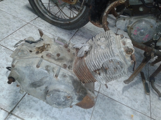 หมูโครงบี่ลลี 6000 เหลือ 5500 ตามรูป 0819306939 โลตัส สมุทรสาคร