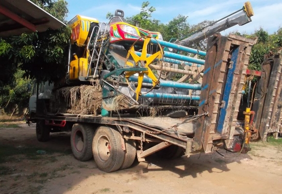ขายจ้าวช้างไวไฟ พร้อมเทลเลอร์ 1,100,000บาท(พร้อมลุยงาน)