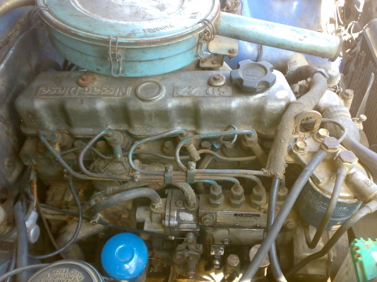 ช้างดีเซล ประหยัด พร้อมบรรทุก