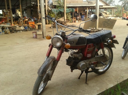 ขายyamaha yl