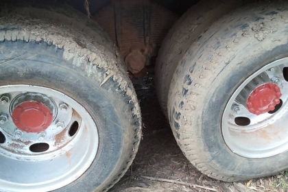 ***ขายแล้วครับขอบคุณ Truck2hand ขาย10ล้อเพลาเดียว ท้ายลาดขึ้นแบคโฮ 120 ISUZU TX เครื่อง6BB1 145HP เครื่องแน่น อึด ไม่เยิ้ม ช่วงล่างเพลาเดียว200 คัสซีดี ไม่ปะไม่ดาม หางดีไม่ผุ ยางดี 10เส้น พ.ธรรมดา เบรคเดิม สัญญาซื้อขาย พร้อมใช้ พร้อมลุยงาน ราคาต่อรองได้เด ***ขายแล้วครับขอบคุณ Truck2hand ขาย10ล้อเพลาเดียว ท้ายลาดขึ้นแบคโฮ 120 ISUZU TX เครื่อง6BB1 145HP เครื่องแน่น อึด ไม่เยิ้ม ช่วงล่างเพลาเดียว200 คัสซีดี ไม่ปะไม่ดาม หางดีไม่ผุ ยางดี 10เส้น พ.ธรรมดา เบรคเดิม สัญญาซื้อขาย พร้อมใช้ พร้อมลุยงาน ราคาต่อรองได้เด