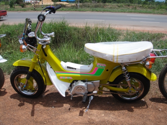 ขายชาลี สีเหลืองเลมอน ( ประกอบใหม่ ) เครื่องไลฟาน 110 สตาร์ทมือ พร้อมอินวอย