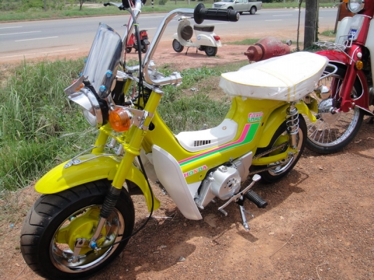 ขายชาลี สีเหลืองเลมอน ( ประกอบใหม่ ) เครื่องไลฟาน 110 สตาร์ทมือ พร้อมอินวอย