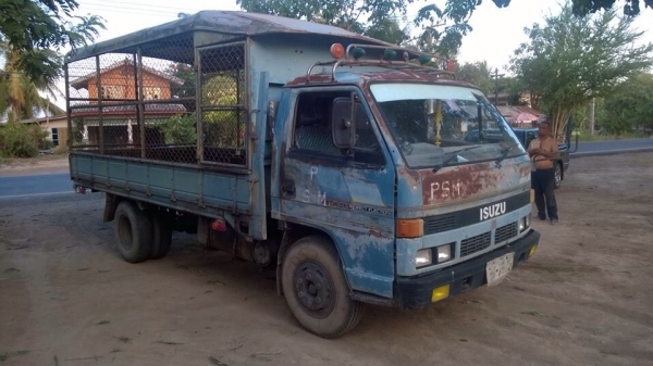 ขายรถบรรทุกหกล้อ ISUZU NPR59LU5M ปี 36 เครื่อง 115 แรง หัวเดิมบาง ยางดี แชสซีสวย