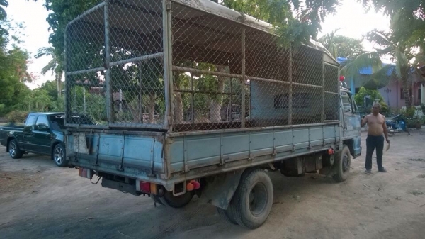 ขายรถบรรทุกหกล้อ ISUZU NPR59LU5M ปี 36 เครื่อง 115 แรง หัวเดิมบาง ยางดี แชสซีสวย