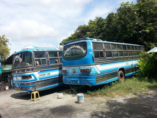 ขายรถบัส 11เมตร