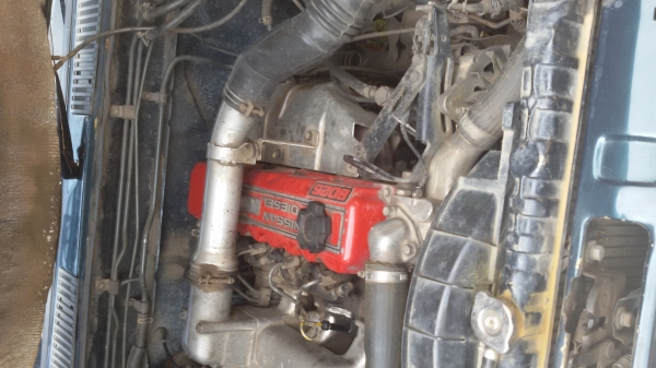 Big-m cap ฝาแดงถูกๆ89000