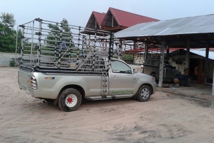 ขายด่วน วีโก้ เครื่อง 3000 พร้อมคอกบรรทุก