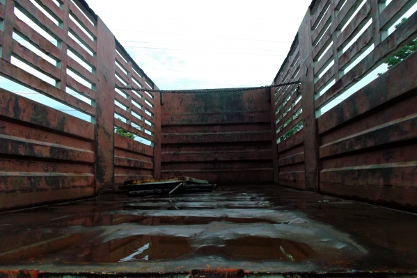 ขายด่วนรถสิบล้อดรั้มเกษตรแม๋ลูกเครือง260แรงม้าเทอโบอินเตอ