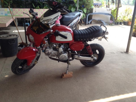 ขายกอลิล่าของแต่งครบชุดราคาเบ่าๆ