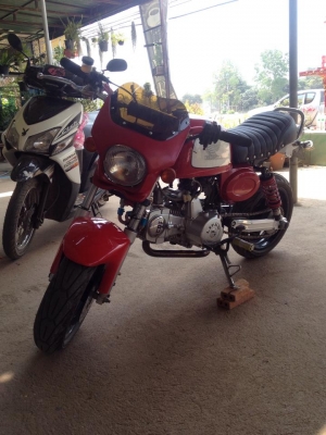 ขายกอลิล่าของแต่งครบชุดราคาเบ่าๆ