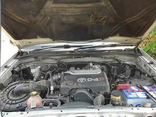 VIGO หัวเดียว