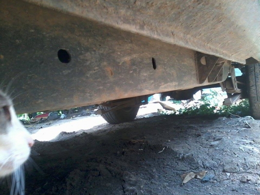 ขาย BIG M ปี 1994 ตัวเดียว ราคา 85,000 บาทครั